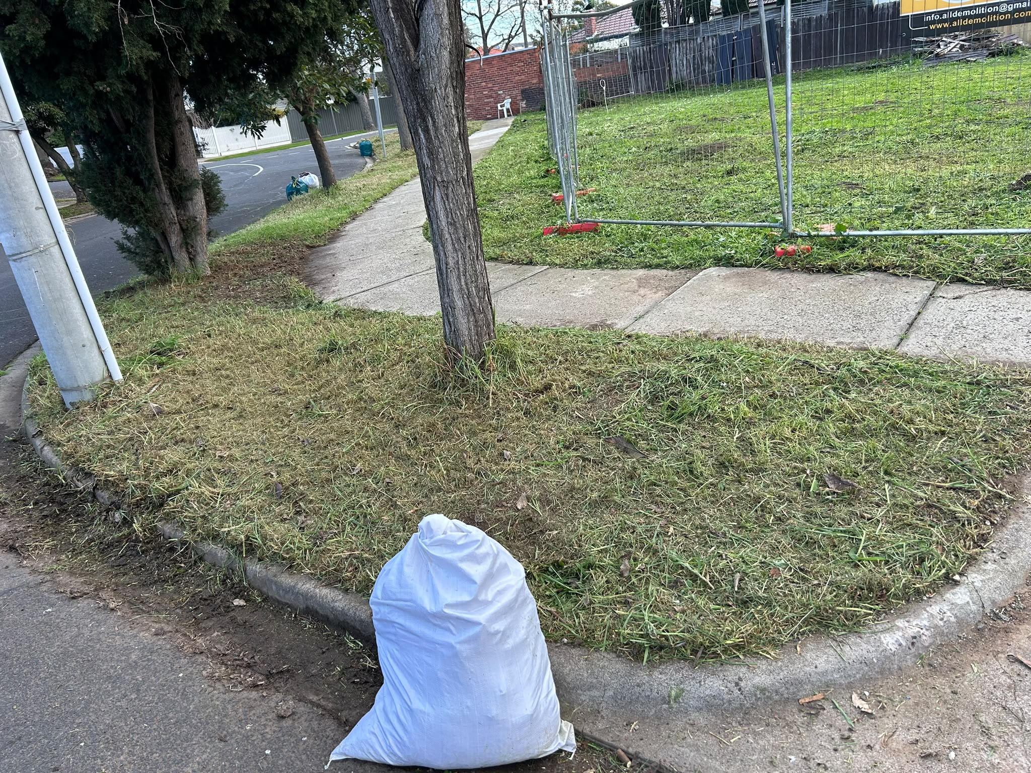 Garden Clean Up After image 10
